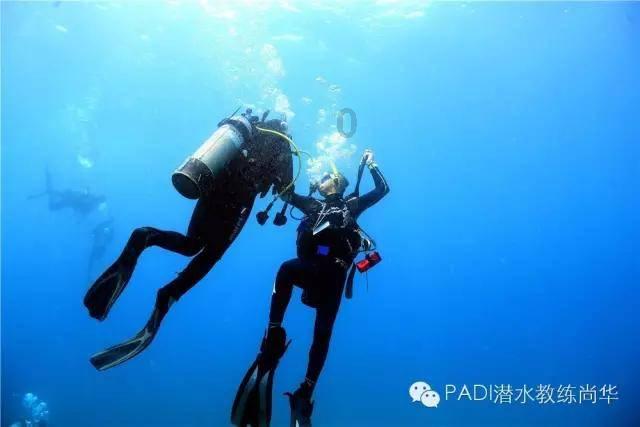 奥斯卡红毯秀